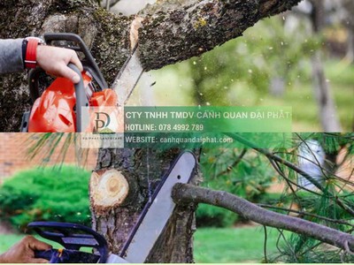 Bảo Dưỡng Cảnh Quan Khu Công nghiệp Chuyên Nghiệp Đạt Chuẩn FDI/ESG tại Đồng Nai, Bình Dương, TPHCM 2