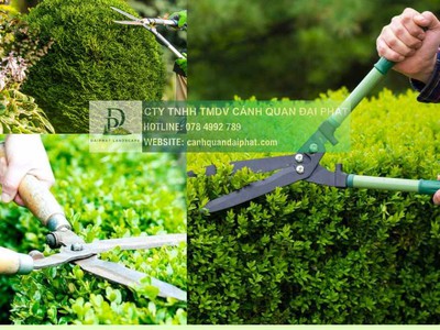 Bảo Dưỡng Cảnh Quan Khu Công nghiệp Chuyên Nghiệp Đạt Chuẩn FDI/ESG tại Đồng Nai, Bình Dương, TPHCM 3