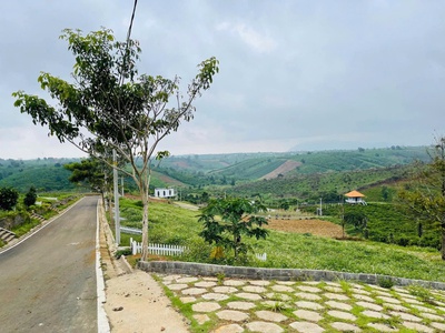 Đầu tư sinh lời cao với NaLi Chill - Homestay and BBQ    pháp lý minh bạch rõ ràng 0