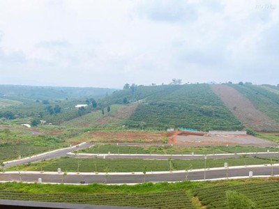 Cơ hội đầu tư đất khu vực Cạnh Làng Pháp Bảo Lộc sang tên ngay, lợi nhuận ổn định 3