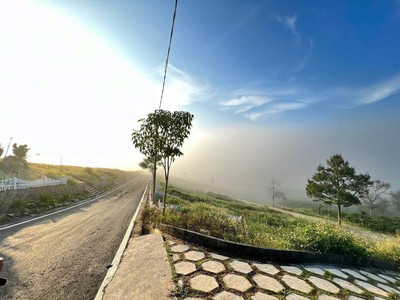 Đầu tư sinh lời cao với NaLi Chill - Homestay and BBQ    pháp lý minh bạch rõ ràng 4