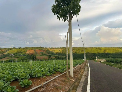 Đầu tư sinh lời cao với NaLi Chill - Homestay and BBQ    pháp lý minh bạch rõ ràng 5