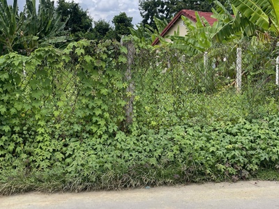 Diên an ngang 9m gần như full thổ cư mặt tiền đường bà đội đường đẹp dân đông chủ cần bán lô đất 3