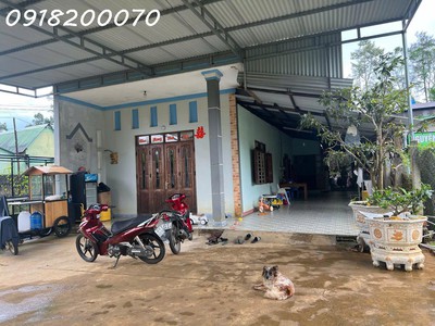 Chính chủ cần bán nhà đang ở tại bảo lộc, lâm đồng 0