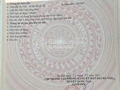 Siêu phẩm lô góc 3 mặt tiền đông yên quốc oai, hà nội dt: 128m2- 25tr/ m2 1