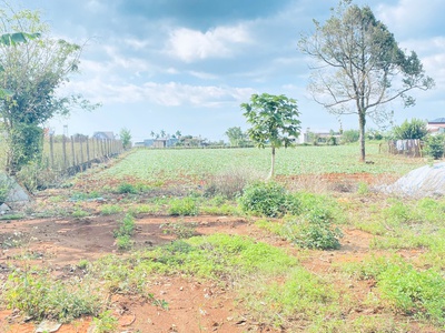 5 sào, ôm 42m mặt tiền quốc lộ 20, gần ngay trung tâm đức trọng, lâm đồng 2