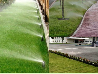 Bảo dưỡng cảnh quan KCN Biên Hòa Đồng Nai, Uy tín 2025 0