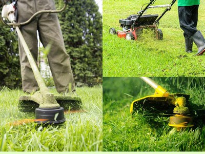 Bảo dưỡng cảnh quan KCN Biên Hòa Đồng Nai, Uy tín 2025 1