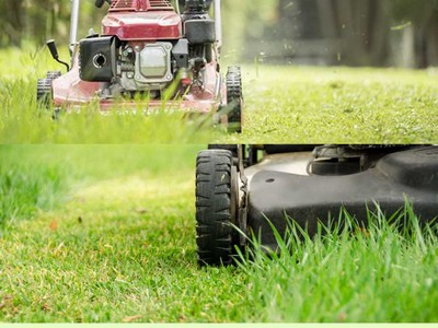 Bảo dưỡng cảnh quan KCN Biên Hòa Đồng Nai, Uy tín 2025 2