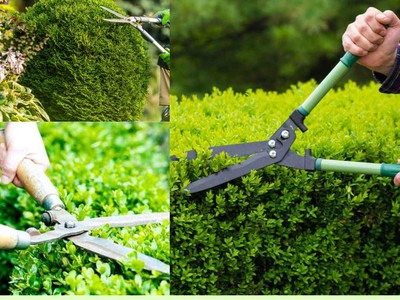 Bảo dưỡng cảnh quan KCN Biên Hòa Đồng Nai, Uy tín 2025 4