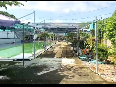 Sở hữu ngay lô đất đẹp - giá tốt - vị trí đắc địa tại bắc ruộng, lâm đồng 2