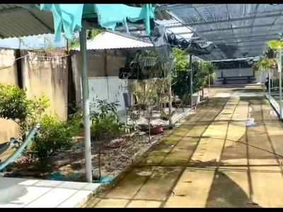 Sở hữu ngay lô đất đẹp - giá tốt - vị trí đắc địa tại bắc ruộng, lâm đồng 3