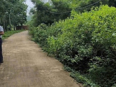 Cần bán 5 sào đất xã  phước an   hớn quản - bình phước 0