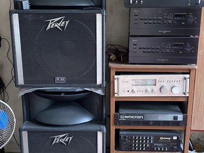Đôi Loa Peavey SP2A Mỹ 2