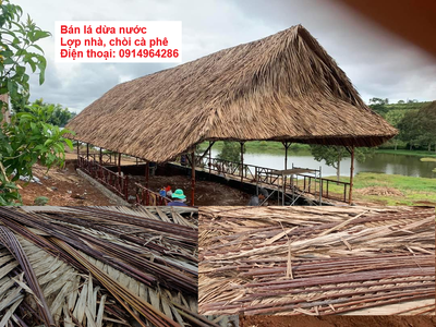 Bán lá dừa nước lợp nhà, lợp quán ăn, lợp quán cà phê 0