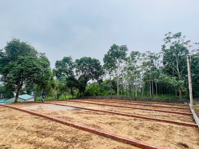 Vị trí vàng   Tiện ích trong bán kính vài phút:  Chợ Bãi Nai: 300m 0