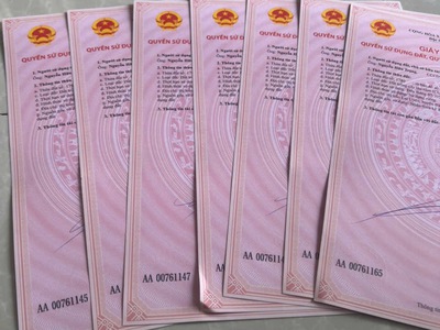 Đường tạo lực Bàu Bàng- Phú Giáo- Tân Uyên- TPHCM 2