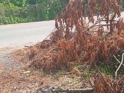 Đất đẹp - giá tốt - vị trí đắc địa tại  khu 8 - vân phú - tp việt trì 4