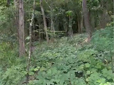  chuyển nhượng 160 hecta đất dự án   hàm tân, bình thuận  2