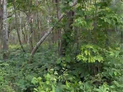  chuyển nhượng 160 hecta đất dự án   hàm tân, bình thuận  0