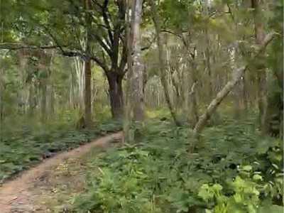  chuyển nhượng 160 hecta đất dự án   hàm tân, bình thuận  4