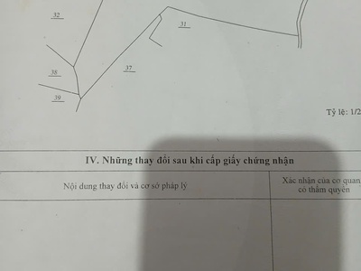 Sở hữu ngay lô đất đẹp - giá tốt - vị trí đắc địa tại thôn 7 lộc ngãi, bảo lâm, lâm đồng 2