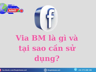 Chiến lược vận hành tài khoản quảng cáo số lượng lớn bằng VIA BM 0