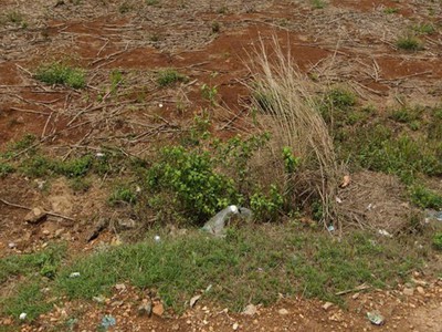 Đất đẹp - giá tốt -  bán đất vị trí đắc địa tại xã đăk sô, krong nô, đăk nông 0