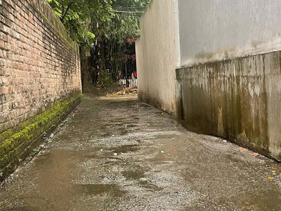 Đất đẹp - giá tốt - cần tiền bán gấp lô đất vị trí đắc địa tại hoà bình thượng, văn giang, hưng yên 3