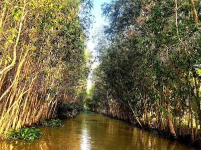 Một khu du lịch sinh thái lung tràm- cần thơ hàng hiếm có -17.732m2 4