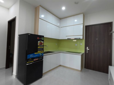 Căn hộ đẹp giá tốt chính chủ cần cho thuê tại sunrise riverside, nguyễn hữu thọ, phước kiển 1