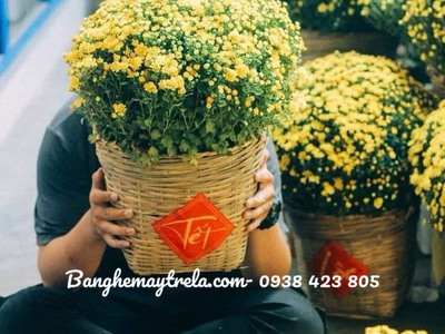 Cần xé tre đựng trái cây giá rẻ 5