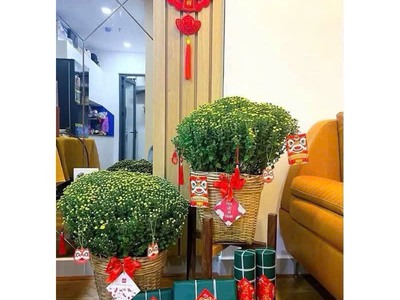 Cần xé tre đựng trái cây giá rẻ 8