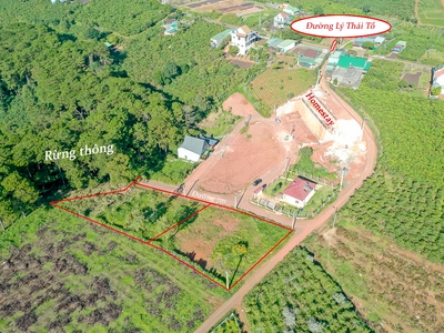 Bán nhanh 1.340m2 full thổ cư - 40x35 m - Trung Tâm Dambri TP Bảo Lộc 1