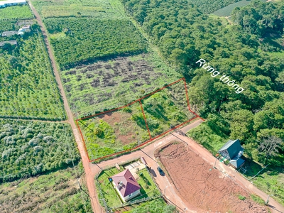 Bán nhanh 1.340m2 full thổ cư - 40x35 m - Trung Tâm Dambri TP Bảo Lộc 2