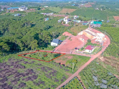 Bán nhanh 1.340m2 full thổ cư - 40x35 m - Trung Tâm Dambri TP Bảo Lộc 3