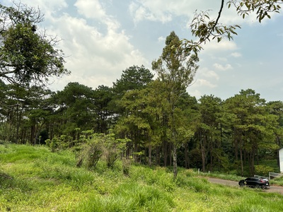 Bán nhanh 1.340m2 full thổ cư - 40x35 m - Trung Tâm Dambri TP Bảo Lộc 5