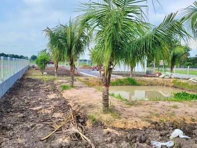 Đầu tư đất vườn sinh lời cao chỉ 1 TỶ 2 có ngay 1000m tại Gò Dầu 3