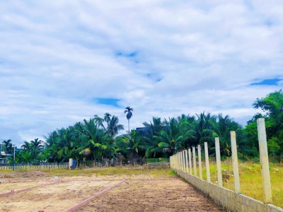  Lô Đất Diện Tích 225m2   Sổ Riêng   Giá Cực Mềm 3