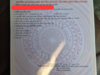 Bán đất thị trấn Hợp Châu, Tam Đảo, Vĩnh Phúc. Giá chỉ 1.65 tỷ Hướng Đông Nam 2