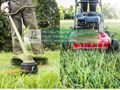 Chăm sóc cảnh quan định kỳ Khu công nghiệp Lộc An Bình Sơn Đồng Nai DPL 1