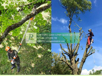 Chăm sóc cảnh quan định kỳ Khu công nghiệp Lộc An Bình Sơn Đồng Nai DPL 3