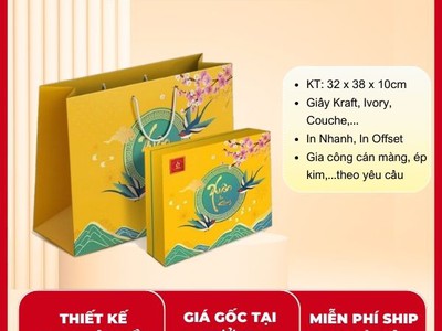 Phân tích chất liệu in túi giấy quà Tết 2