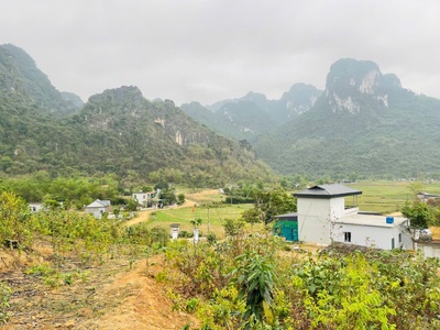 Chỉ 600k/m2 sở hữu ngay 1.6ha đất giáp Serena khu nghỉ dưỡng cao cấp tại Kim Bôi - Hoà Bình  1