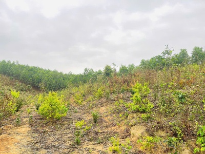 Chỉ 600k/m2 sở hữu ngay 1.6ha đất giáp Serena khu nghỉ dưỡng cao cấp tại Kim Bôi - Hoà Bình  3