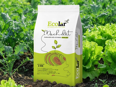 Ecolar Mạch Đất 2kg Giải pháp cải tạo đất cho mọi loại cây trồng 0