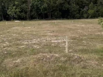 Chính Chủ Nhượng Gấp Đất Mt Đt795, Gần Trung Tâm Tân Châu, Tiện Kinh Doanh 4