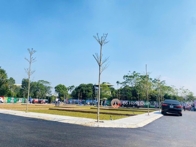 Bán đất thổ cư 110m2 phú cát, quốc oai, hà nội. mt 6m, sổ đỏ, giá 3.9 tỷ. 1