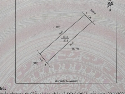 Cần bán 2 lô kề nhau tổng 312m2, đất kd sư vạn hạnh giá rẻ, tp vinh 0
