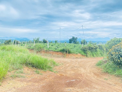 Tổng 1,4 héc ta, đất đẹp, view chill chill, nằm ngay ngã 3 hẻm thuộc hiệp thuận, ninh gia 1